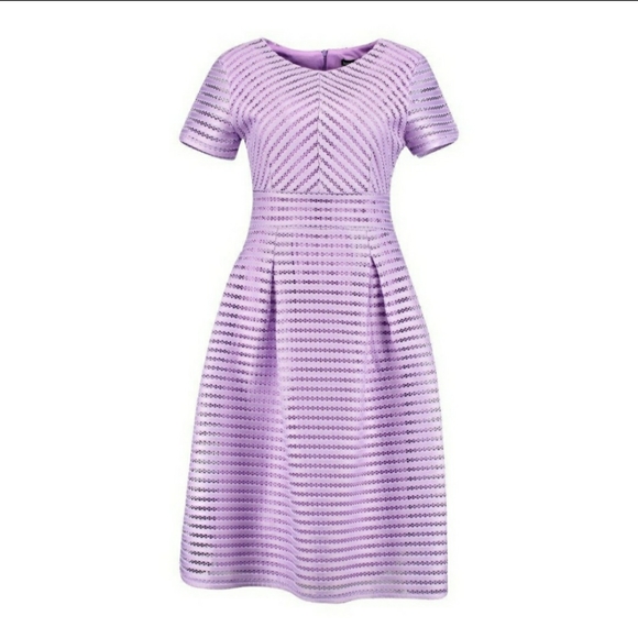 Boohoo Dresses & Skirts - Boohoo Purple Lace Midi Full Skirted Dress Size 10